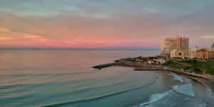 Mar del Plata